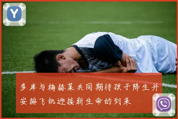 多库与梅赫莱共同期待孩子降生并安排飞机迎接新生命的到来